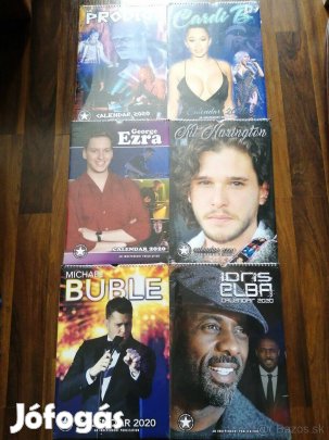 Gyüjtöi falinaptárok