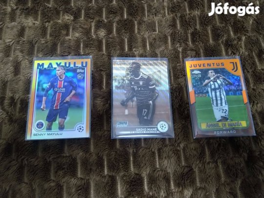 Gyűjtői focis kártyák