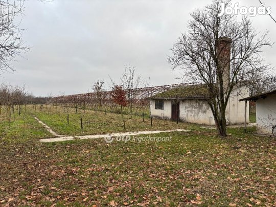 Gyulai 20000 nm-es telek eladó