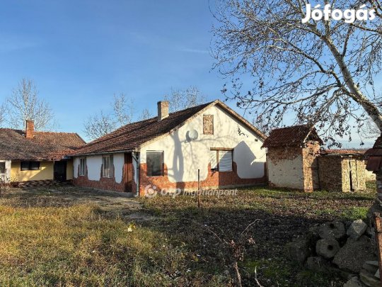 Gyulai eladó 202 nm-es ház