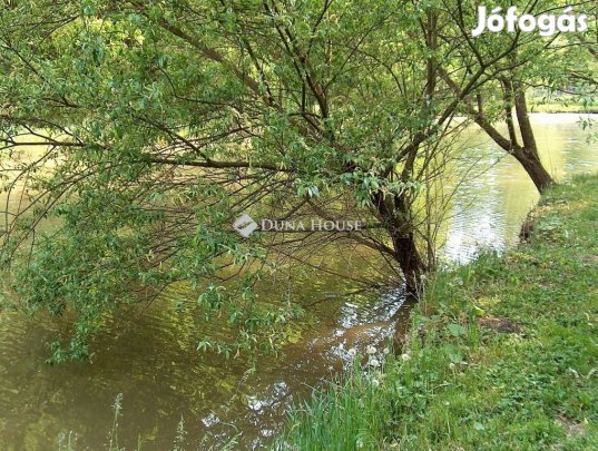 Gyulán erdőterület halastóval ELADÓ!