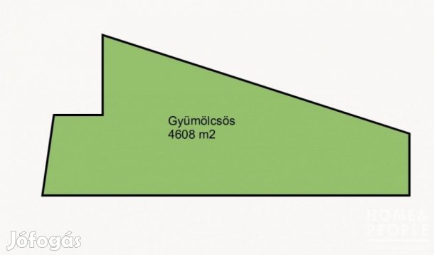 Gyümölcsös eladó - Öttömös