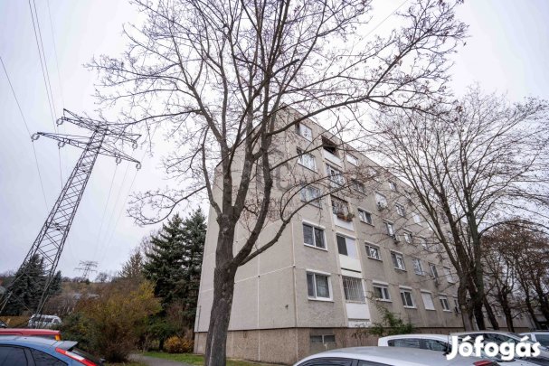 HÁROM szobás panel lakás VILÁGSZÁM ÁRBAN!