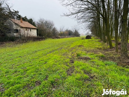 HÉV és termálfürdő közeli építési telek Ráckevén
