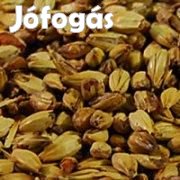 HOME 15 Müncheni komplett sörfőzőcsomag ( 460 )