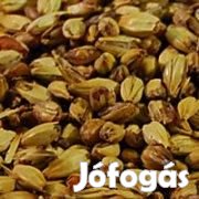 HOME 15 Stout komplett sörfőzőcsomag ( 459 )