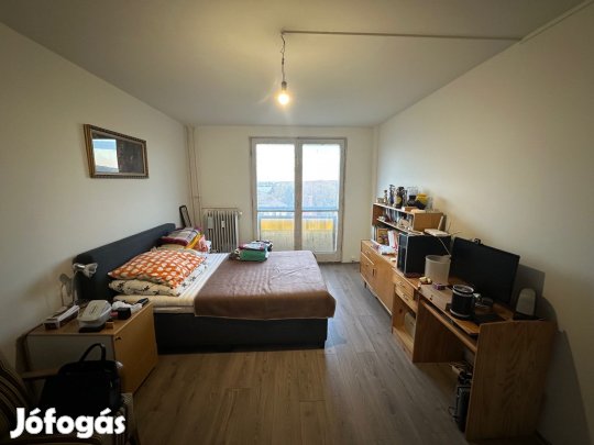 HONVÉD UTCAI AZONNAL BIRTOKBA VEHETŐ 1,5 SZOBÁS PANELLAKÁS