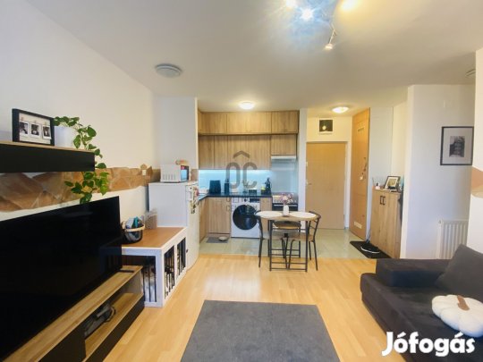 HOSSZÚTÁVRA KIADÓ LAKÁS A BELVÁROSBAN!