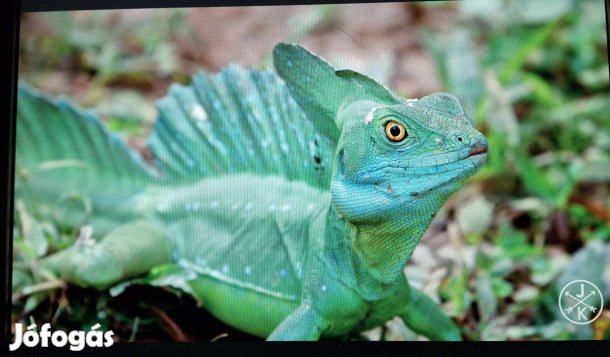 HP retró monitor 19" Jól működik!