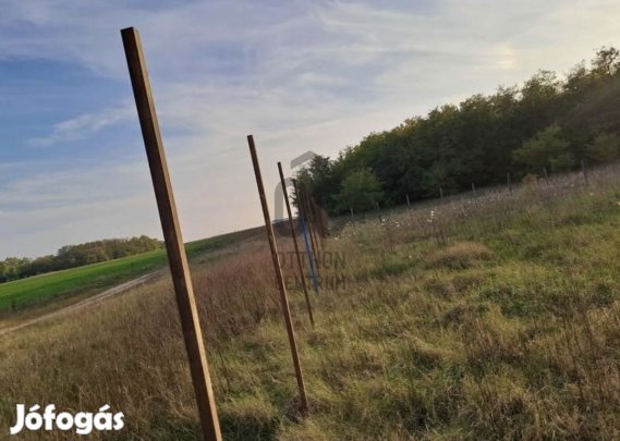 Ha Ön szereti kertészkedés közben csodálni, hatalmas utasszállító gépe