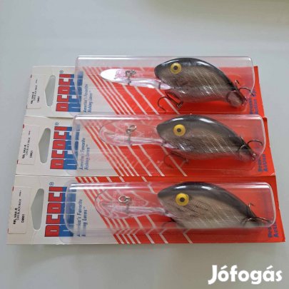 Ha harcsapergetés, akkor Rebel Maxi R!