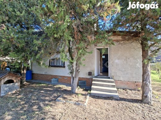 Ha megérinti a természet közelsége....