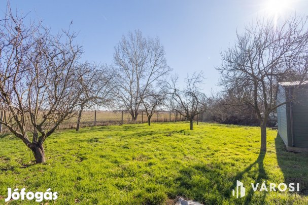 Ha szereted a napfényt, ez itt a Te kerted!