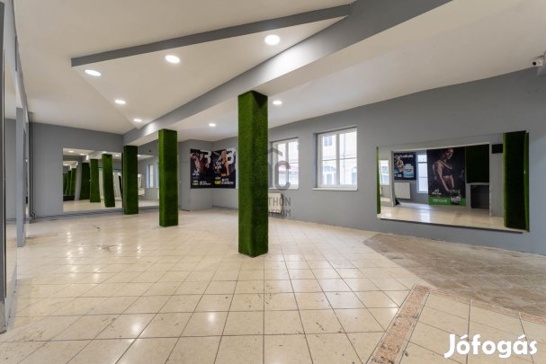 Ha üzletet keres, ahol fontos a kiváló lokáció