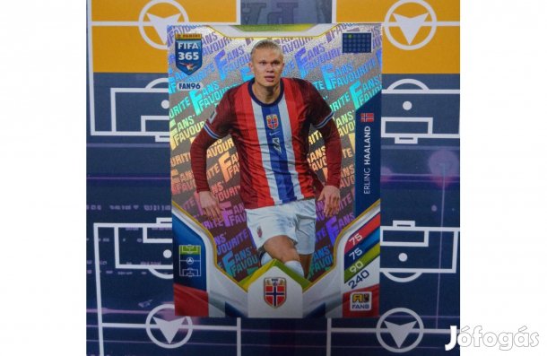 Haaland (Norvégia) Panini Fifa 365 2026 Fans focis kártya