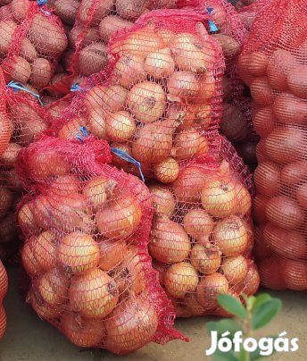 Hagyma eladó!