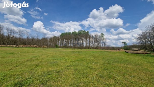 Hajdúsámsonban a főútvonal mellett eladó egy 74.000 m2-es, GIP besorol