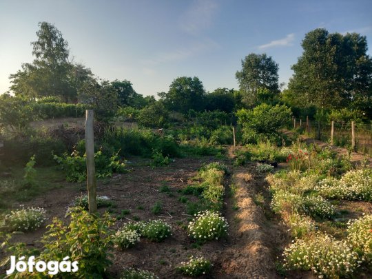 Hajdúsámsoni eladó telek