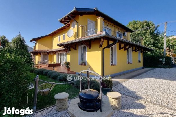 Hajdúszoboszlói eladó 296 nm-es ház