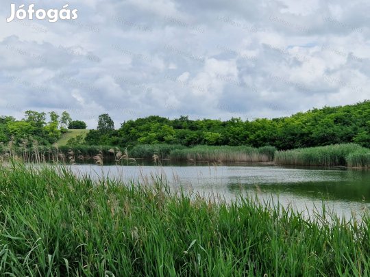 Halastó eladó Középbogárd közelében