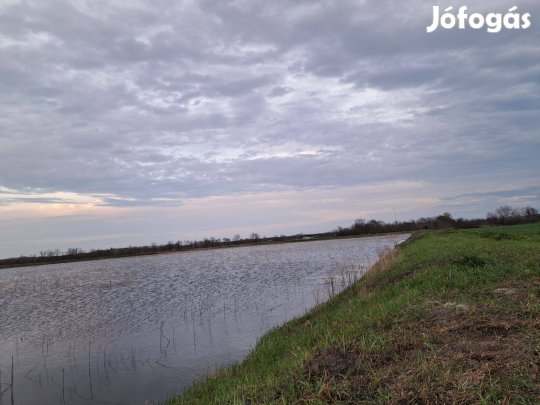 Halastó eladó Szabadszállás közelében