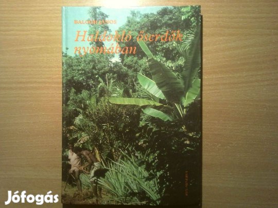 Haldokló őserdők nyomában