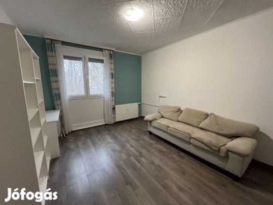 Hangulatos kis lakás Kertváros frekventált részén