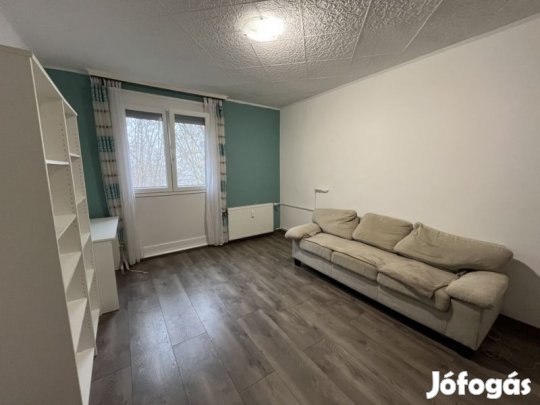 Hangulatos kis lakás Kertváros frekventált részén