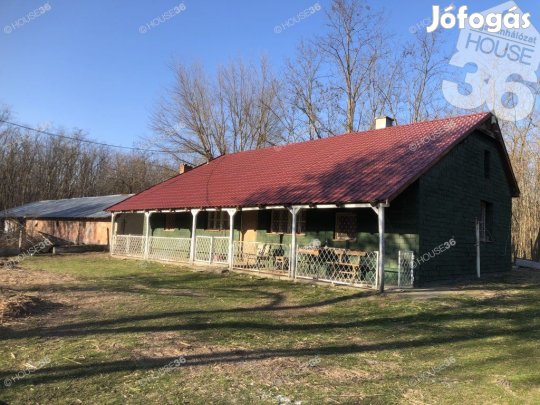 Hangulatos tanya az erdőben Eladó.