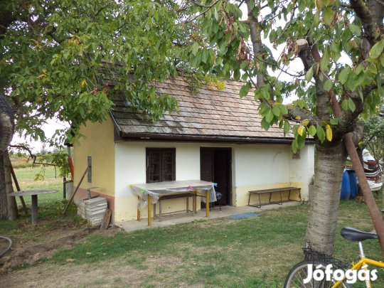 Hangulatos zártkerti birtokszőlő, gyümölcsös és pincék egy helyen