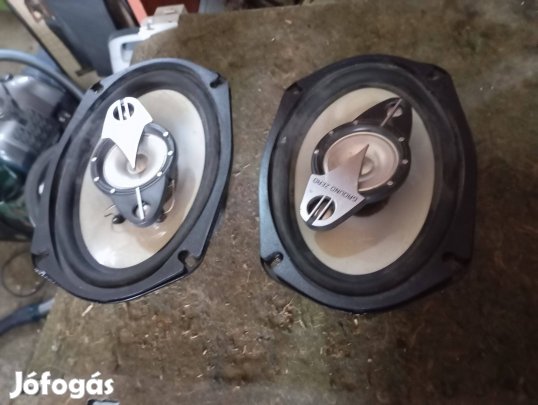Hanszóró pár eladó