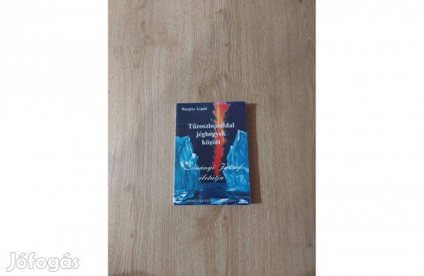 Hargita Árpád: Tűzoszlopoddal jéghegyek között