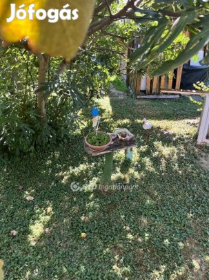 Harkányi 222 nm-es telek eladó