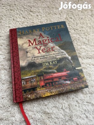 Harry Potter a magical year