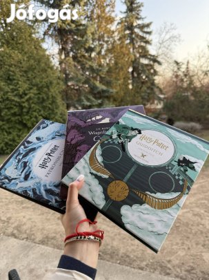 Harry Potter film projections 