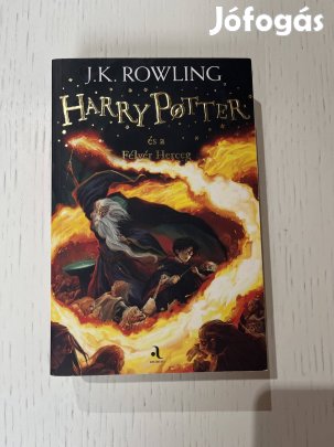 Harry Potter könyv (6)