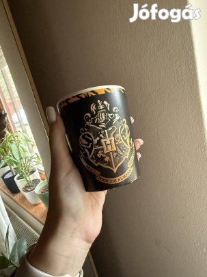 Harry Potter pohár