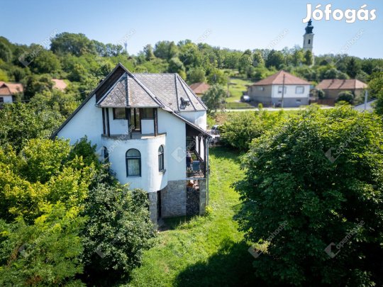 Harsányban 160 m-es, 7 szobás családi ház örökpanorámával eladó