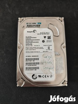 Használt Seagate 3,5" HDD merevlemez 100/100