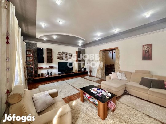 Hatalmas családi ház Cegléd belvárosától pár perc sétatávra