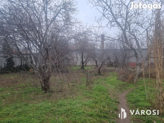 Hatalmas telek Vecsés közkedvelt részén!