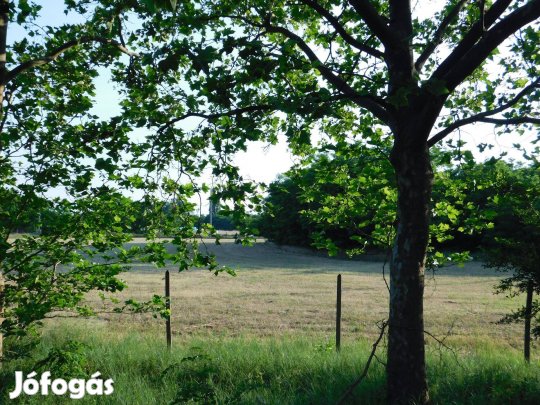 Határtalan lehetőség