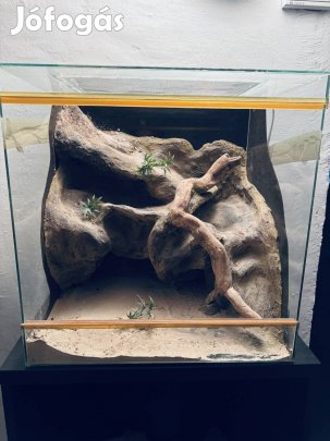 Hátteres terrárium 50x50x40