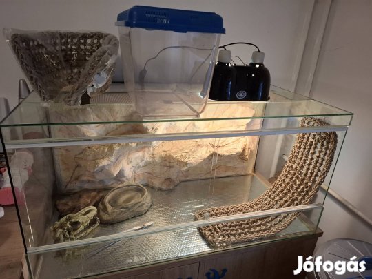 Hátterezett terrárium + kiegészítők