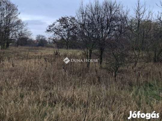 Hatvani 5658 nm-es telek eladó