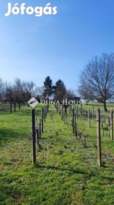 Hatvani eladó 1424 nm-es telek