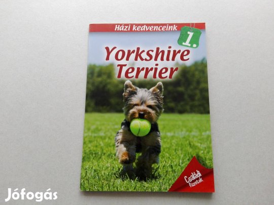 Házi kedvenceink 1. : Yorkshire terrier -teljesen Új- akciósan eladó!