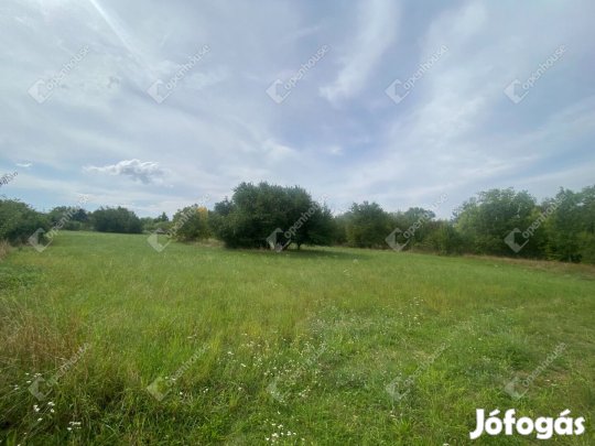 Hegyeshalomban külterületi építési telek eladó