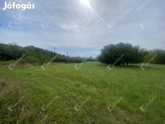 Hegyeshalomban külterületi építési telek eladó