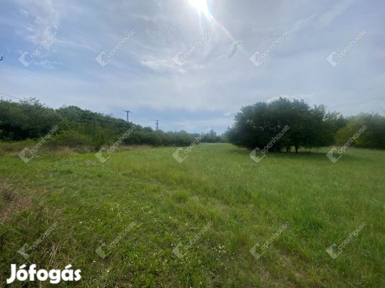 Hegyeshalomban külterületi építési telek eladó